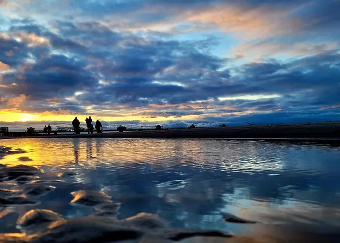 Nautilus * ミエンジズドロイェ